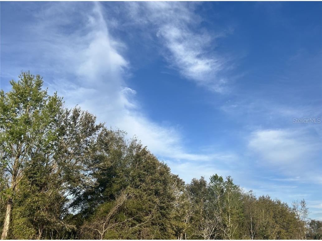 0 SW 54th St Dunnellon FL 34431 OM695776 image1