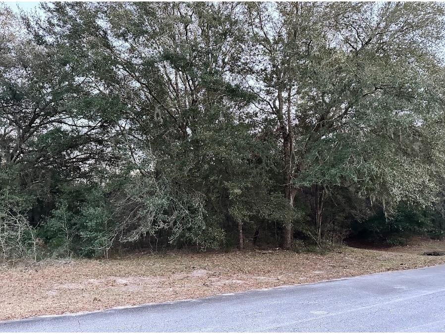 0 SW 55th Court Road Ocala FL 34473 OM696798 image1