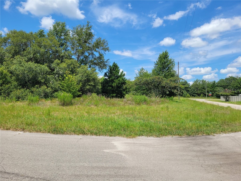 0 SW 56th Ave Road Ocala FL 34473 OM660541 image1