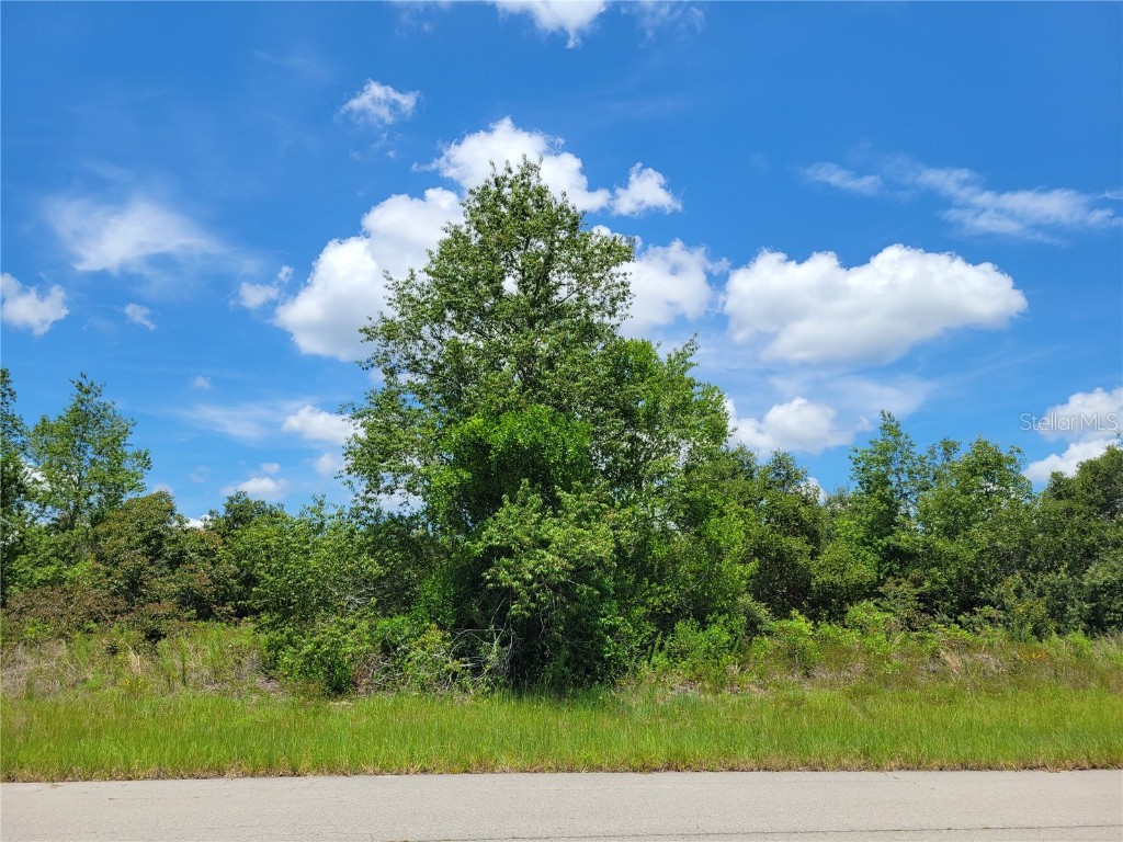 0 SW 56th Ave Road Ocala FL 34473 OM660545 image1