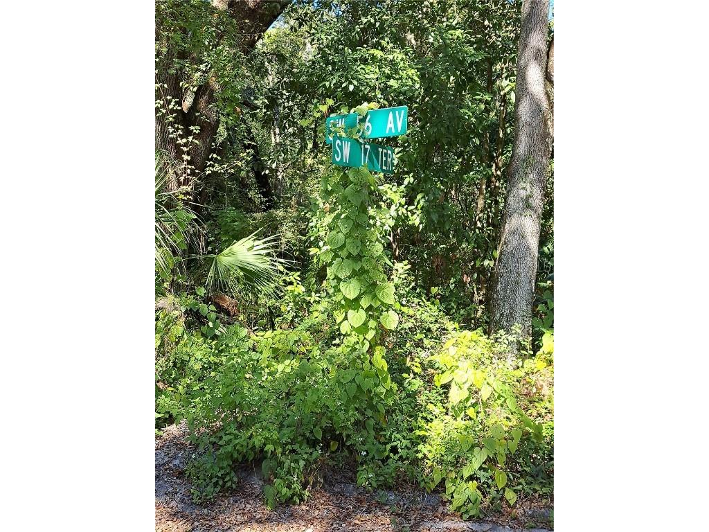 0 SW 56th Avenue Gainesville FL 32608 TB8458701 image3