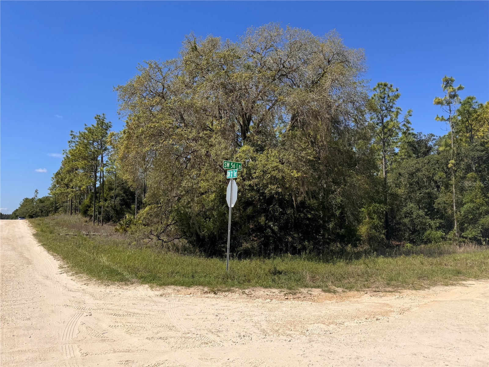 0 SW 56th Lane Ocala FL 34481 OM724837 image1