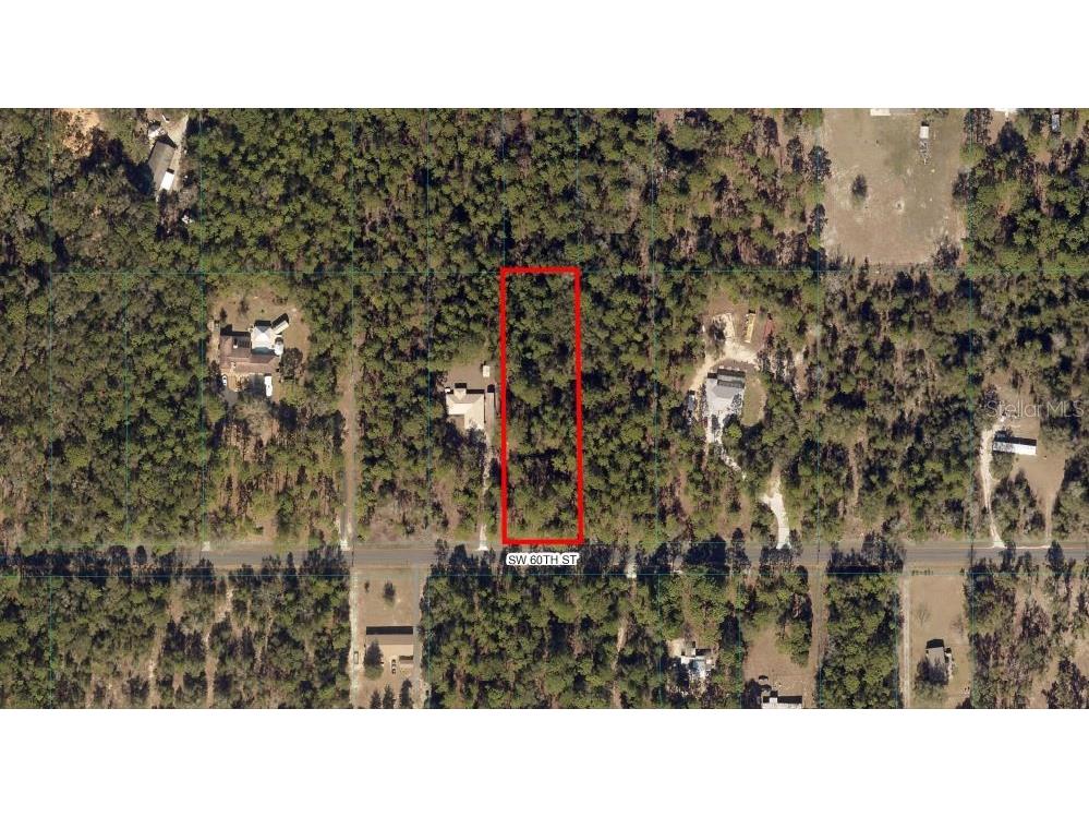 0 SW 60th Street Dunnellon FL 34432 OM654937 image1