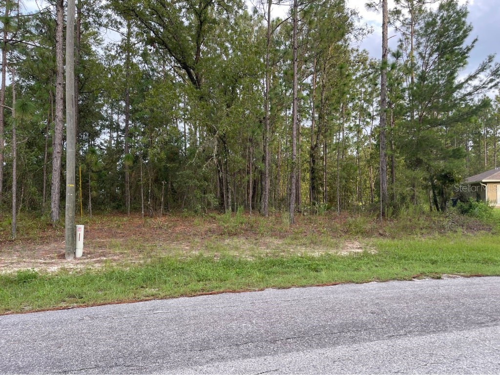 0 SW 61st Circle Ocala FL 34473 OM663875 image1