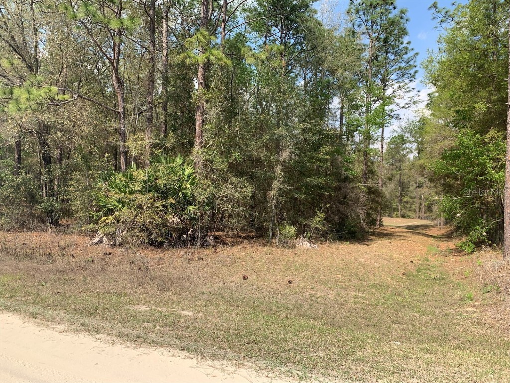 0 SW 64 Street Road Ocala FL 34481 OM654863 image1