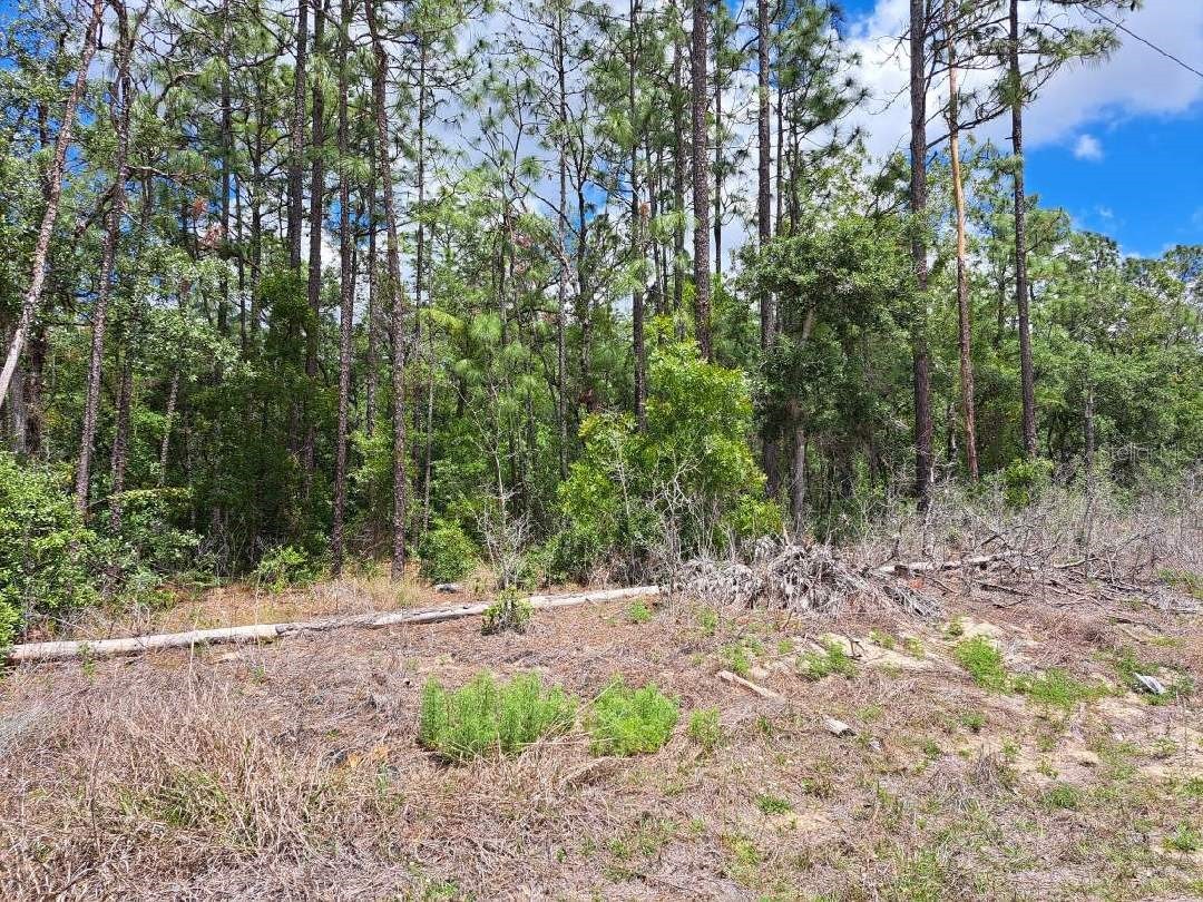 0 SW 64 Street Road Ocala FL 34481 OM723652 image3