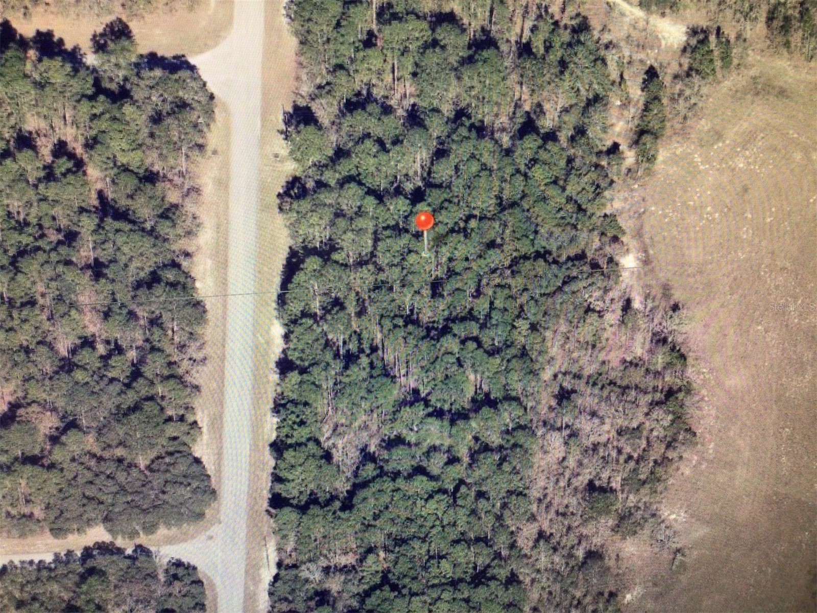 0 SW 64 Terrace Road Ocala FL 34473 OM722669 image5