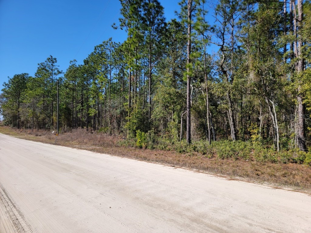 0 Sw 64th Street Road Dunnellon FL 34432 OM652273 image1