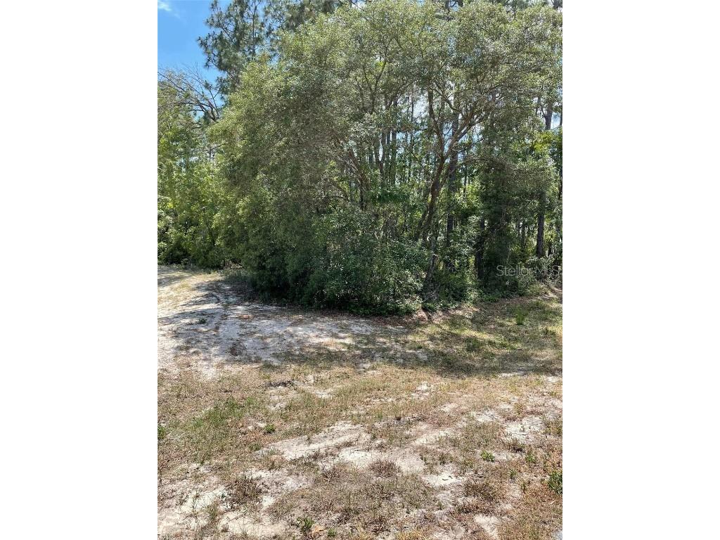 0 SW 65 Circle Ocala FL 34473 OM677925 image1