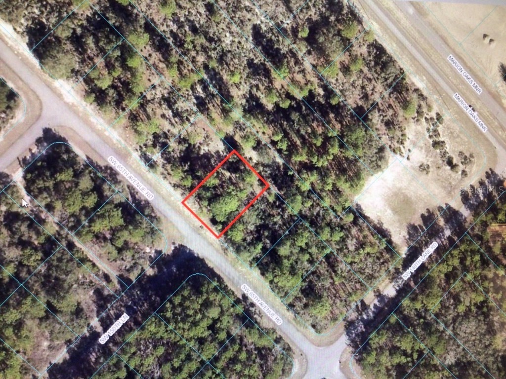 0 SW 65th Ave Rd Ocala FL 34473 OM651823 image1