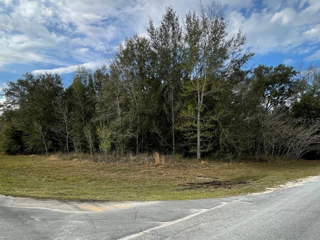 0 SW 69th Court Ocala FL 34473 OM652771 image1