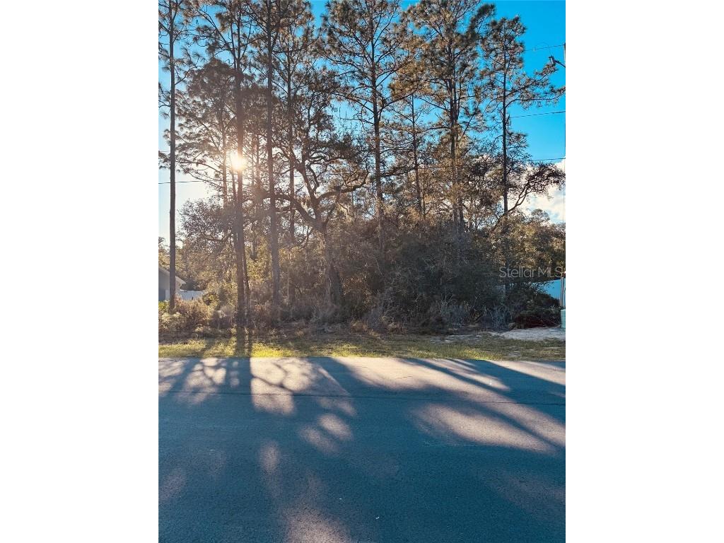 0 SW 69th Court Rd Ocala FL 34473 OM711901 image3