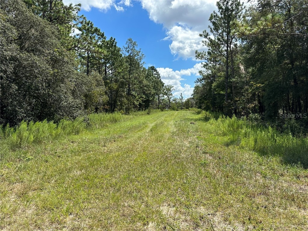 0 SW 73rd Street Dunnellon FL 34432 O6134803 image1