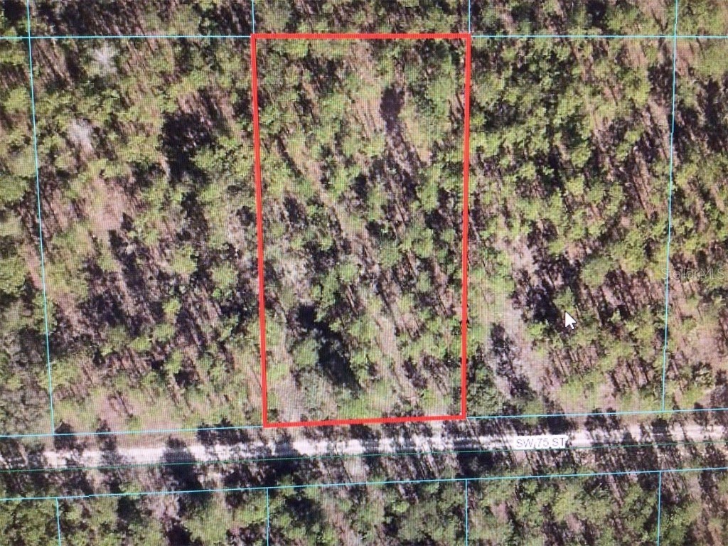 0 SW 75 Street Dunnellon FL 34432 OM686503 image1