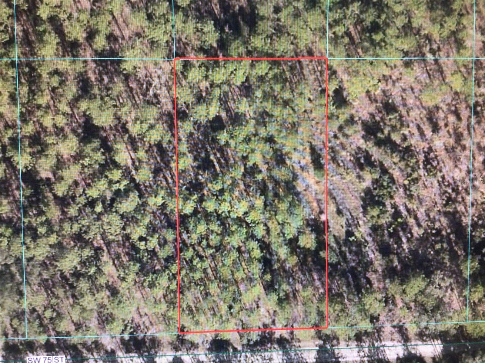 0 SW 75 Street Dunnellon FL 34432 OM728603 image1