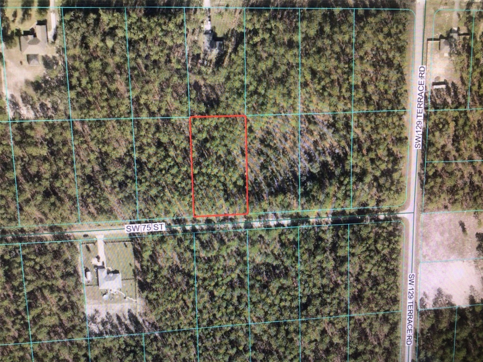 0 SW 75 Street Dunnellon FL 34432 OM728603 image2