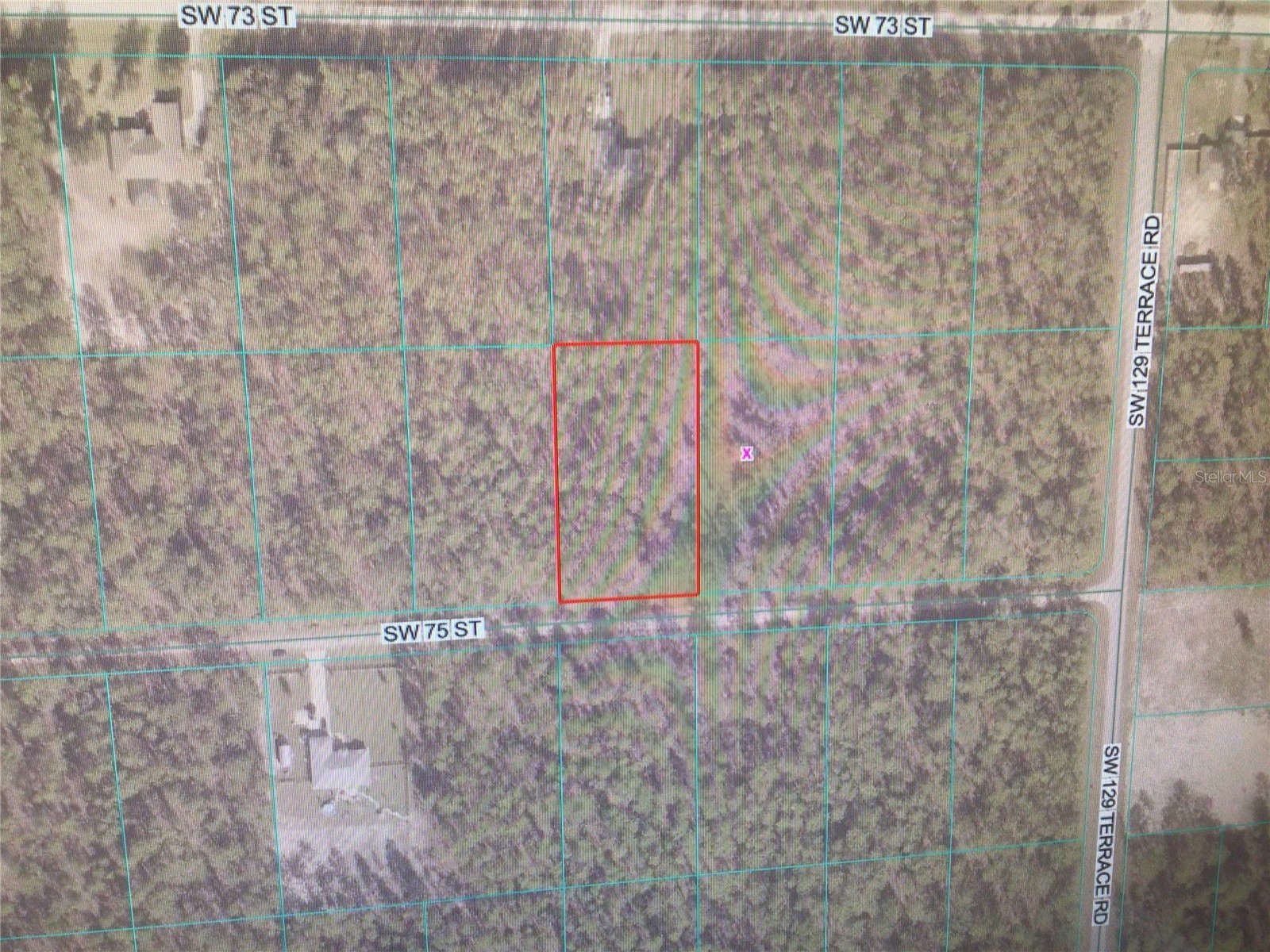 0 SW 75 Street Dunnellon FL 34432 OM728603 image3