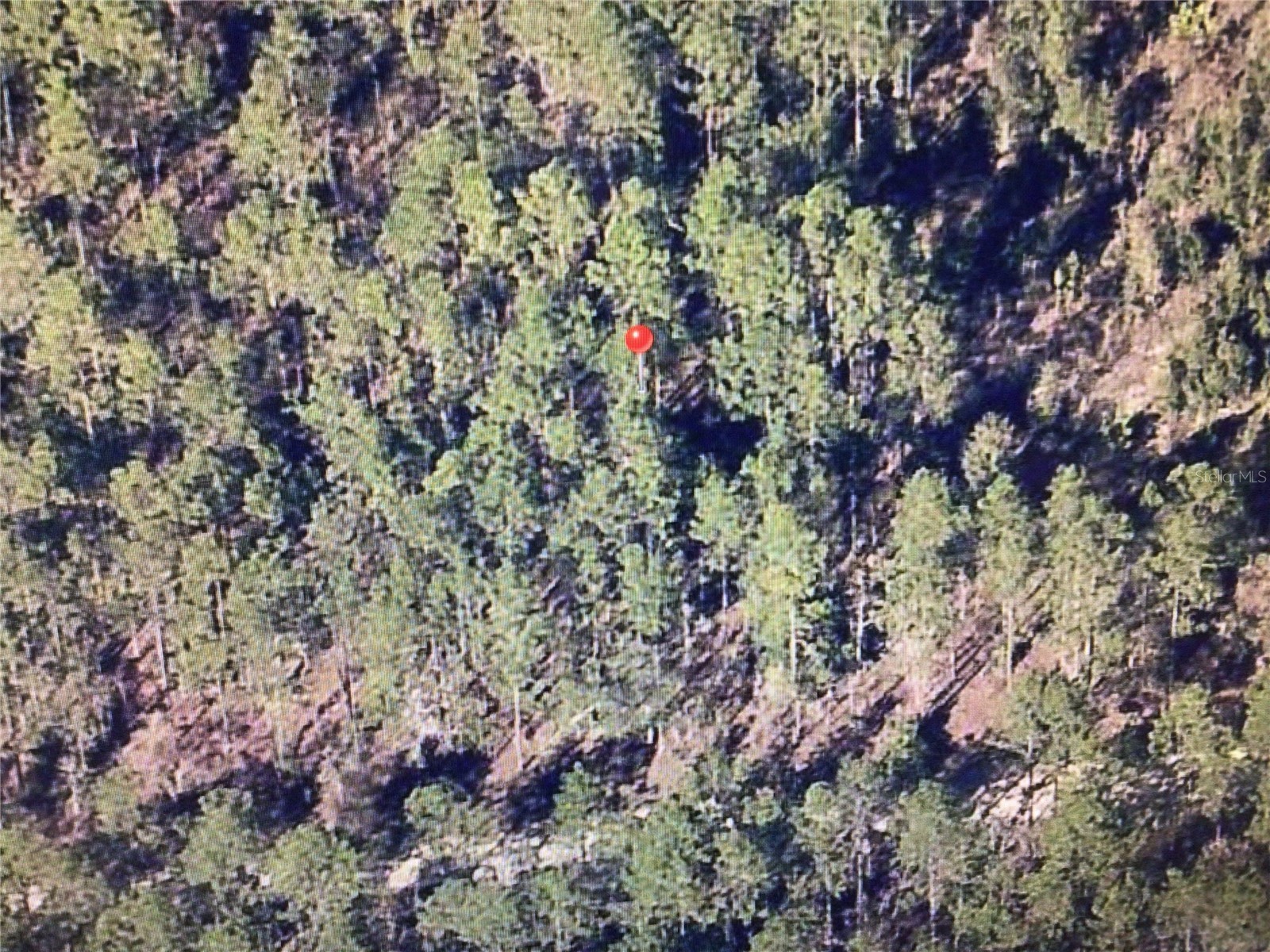 0 SW 75 Street Dunnellon FL 34432 OM728603 image5