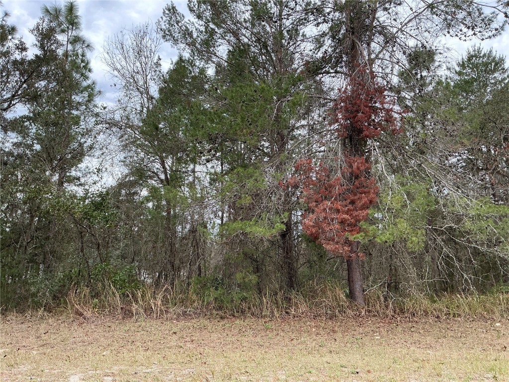 0 SW 75th Circle Ocala FL 34473 OM698087 image1