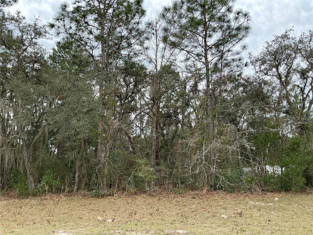 0 SW 75th Circle Ocala FL 34473 OM698088 image1