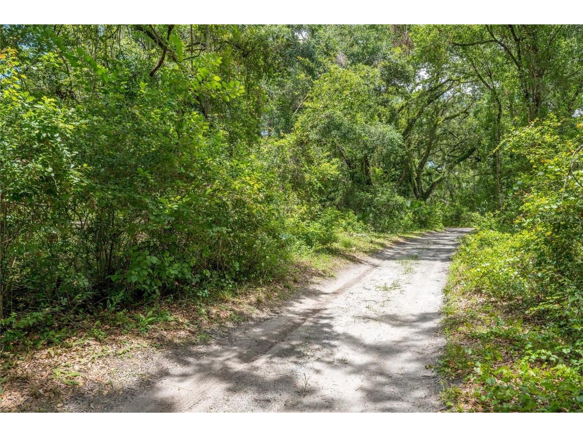 0 SW 76th Lane Bushnell FL 33513 TB8404426 image1