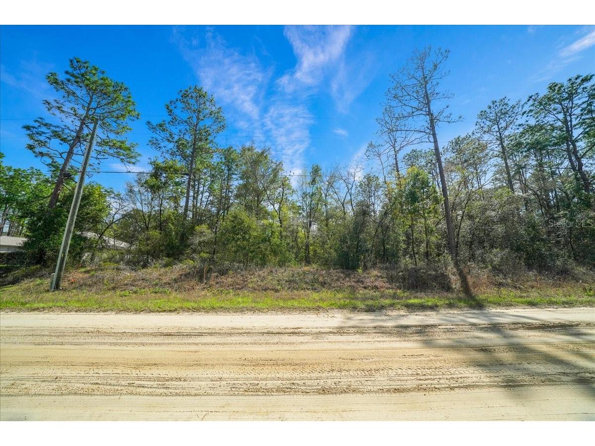 0 SW 78th Pl Ocala FL 34476 OM720966 image2