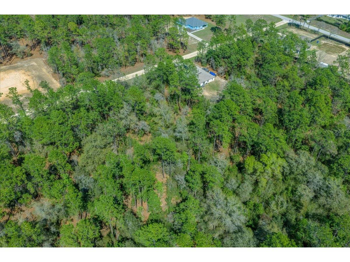 0 SW 78th Pl Ocala FL 34476 OM720966 image5