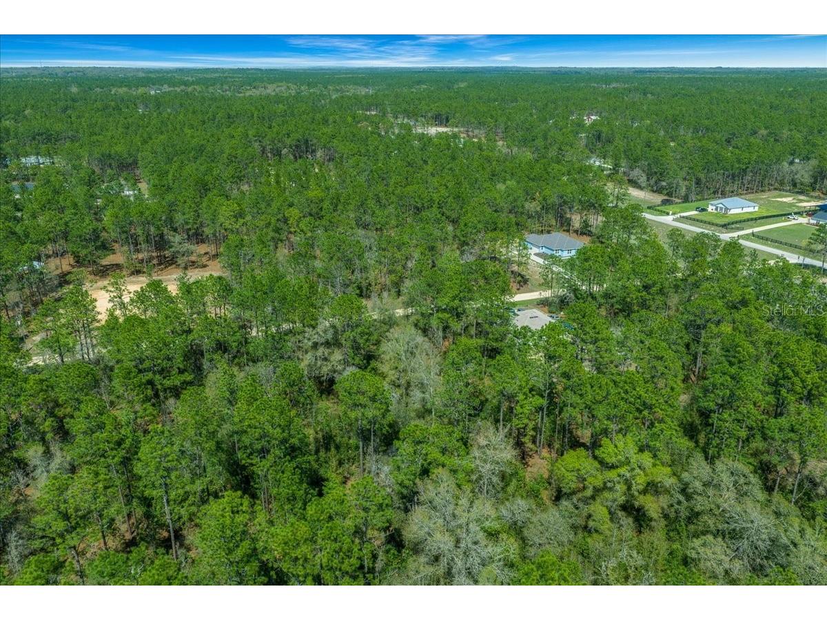 0 SW 78th Pl Ocala FL 34476 OM720966 image6