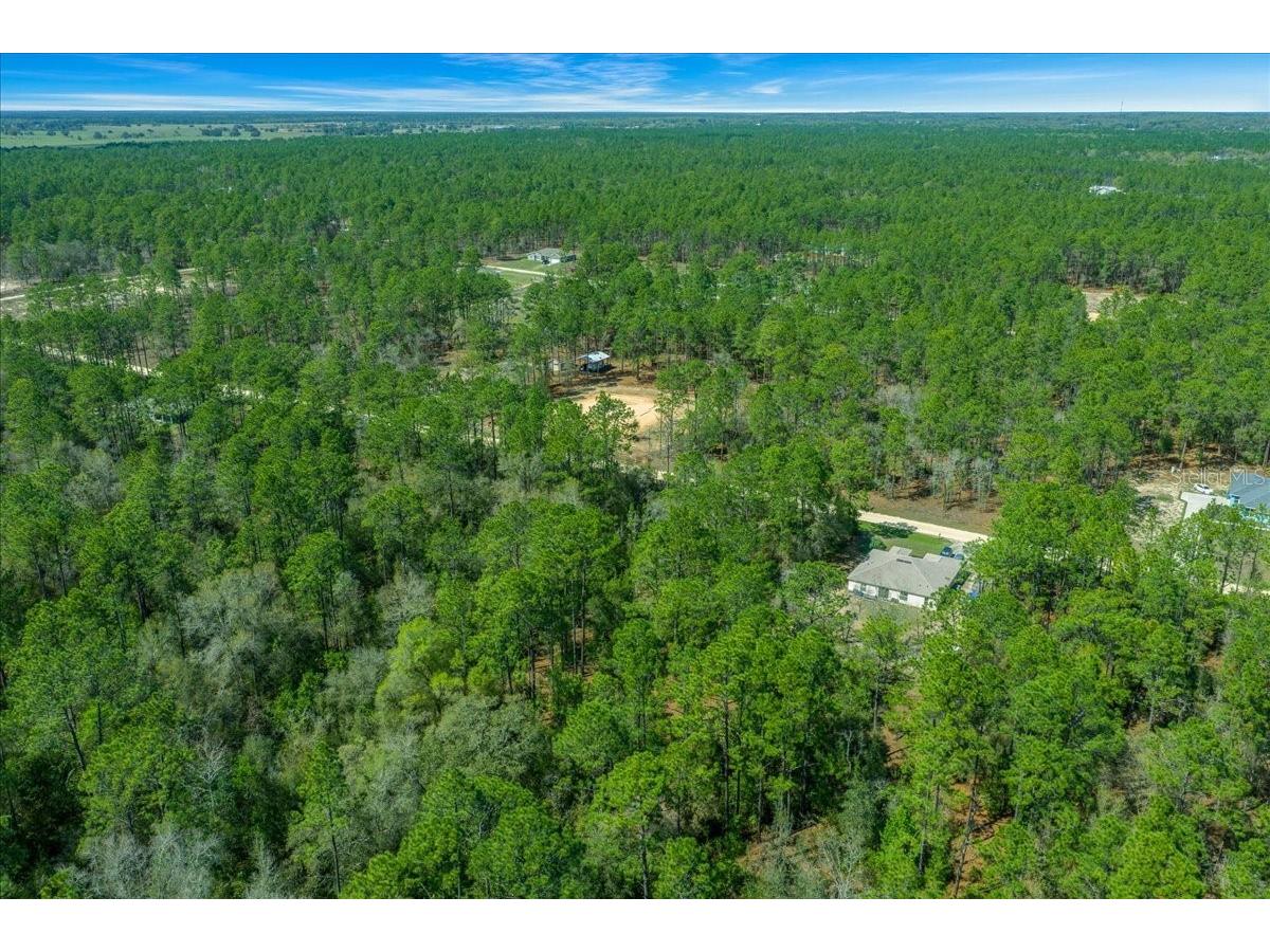 0 SW 78th Pl Ocala FL 34476 OM720966 image7