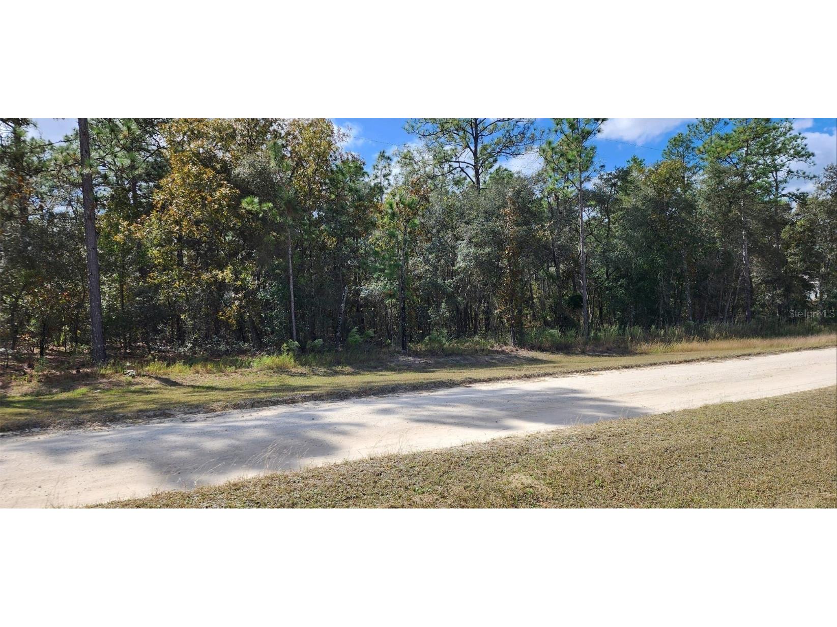 0 SW 80 Street Dunnellon FL 34432 OM666990 image1