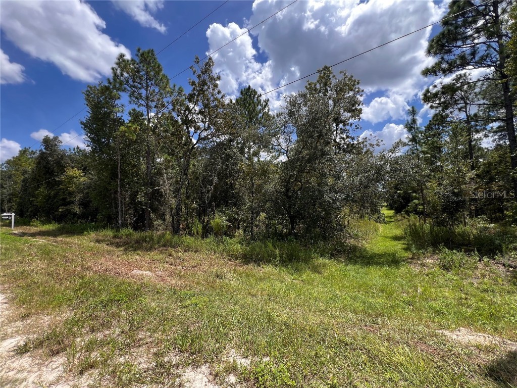 0 Sw 80th Street Dunnellon FL 34432 OM684780 image1