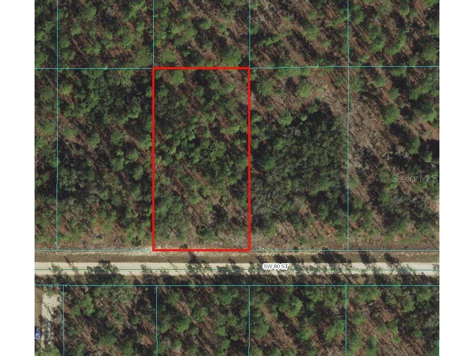 0 SW 80th Street Dunnellon FL 34432 OM670628 image1