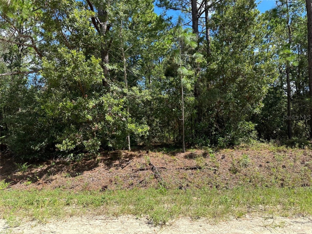 0 SW 80th Streets Dunnellon FL 34432 O6134797 image1