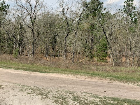 0 SW 81 Street Dunnellon FL 34432 OM654135 image1