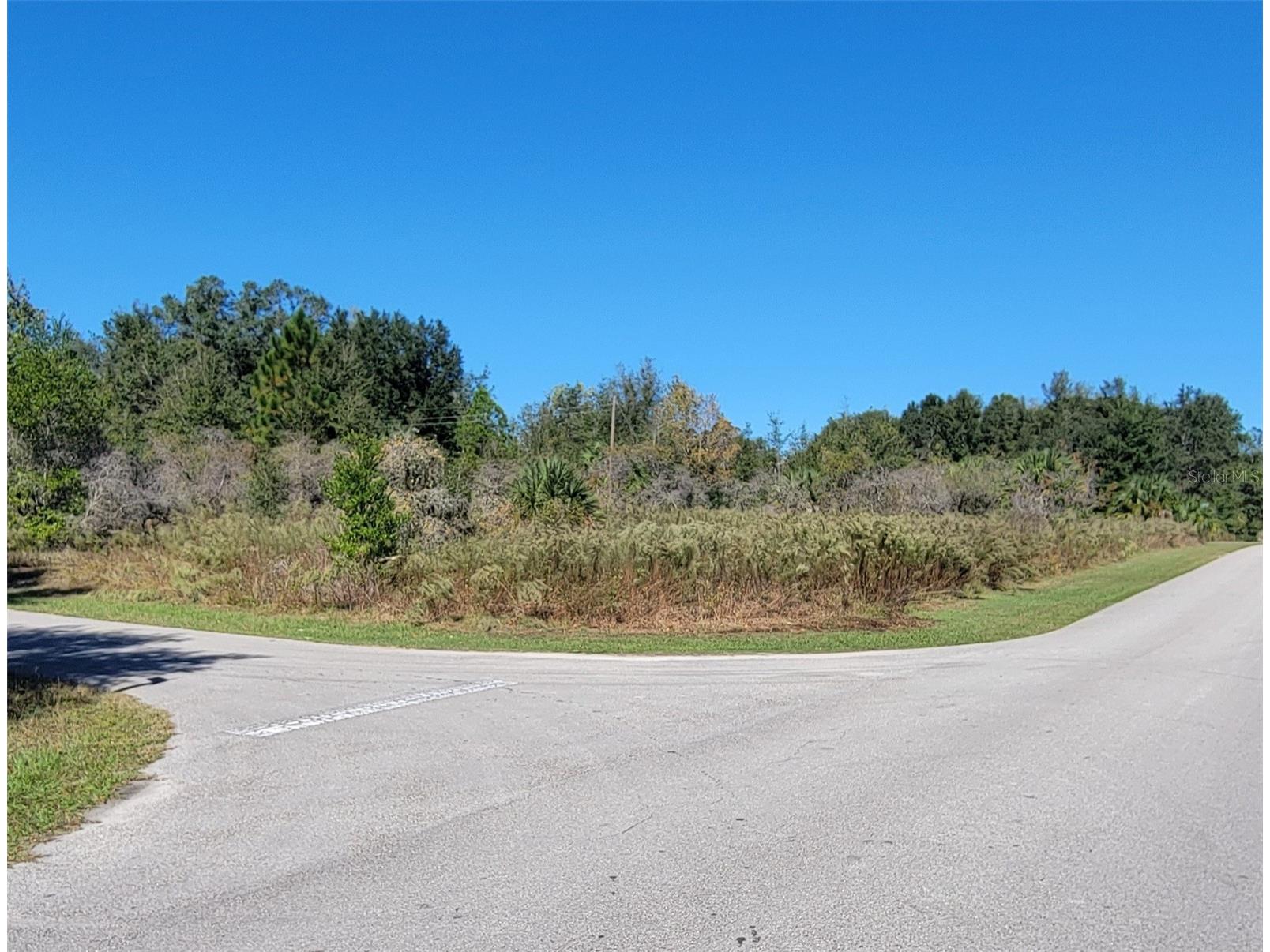 0 SW 82nd Place Dunnellon FL 34431 OM712653 image1