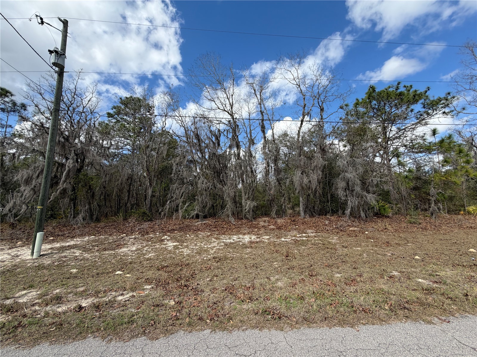 0 SW 83rd Circle #15 Ocala FL 34473 OM706487 image1
