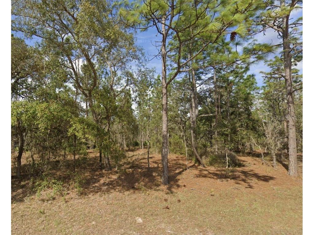 0 SW 85th Place Dunnellon FL 34432 OM707133 image1