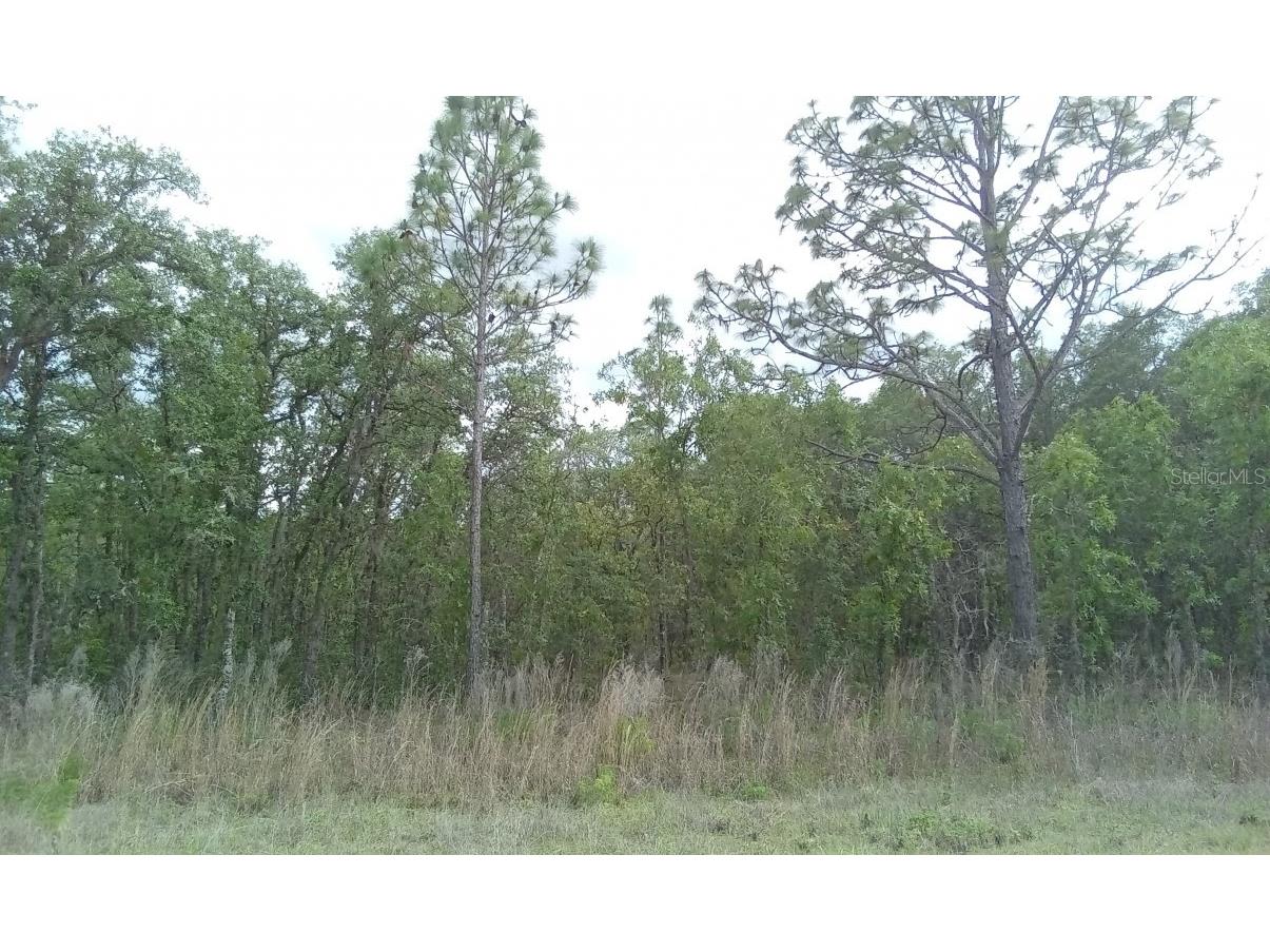 0 SW 85th Place Ocala FL 34476 O6112761 image1