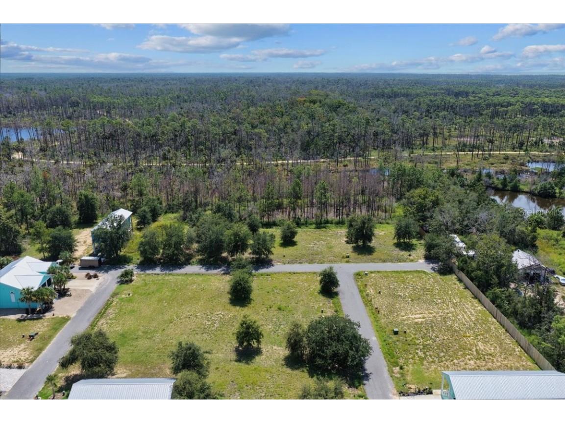 0 SW 869th Loop Steinhatchee FL 32359 W7878939 image13