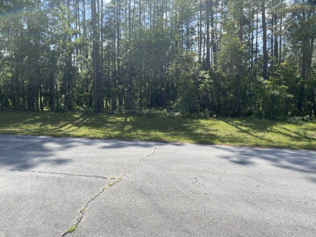 0 SW 87th Circle Ocala FL 34473 OM638241 image1