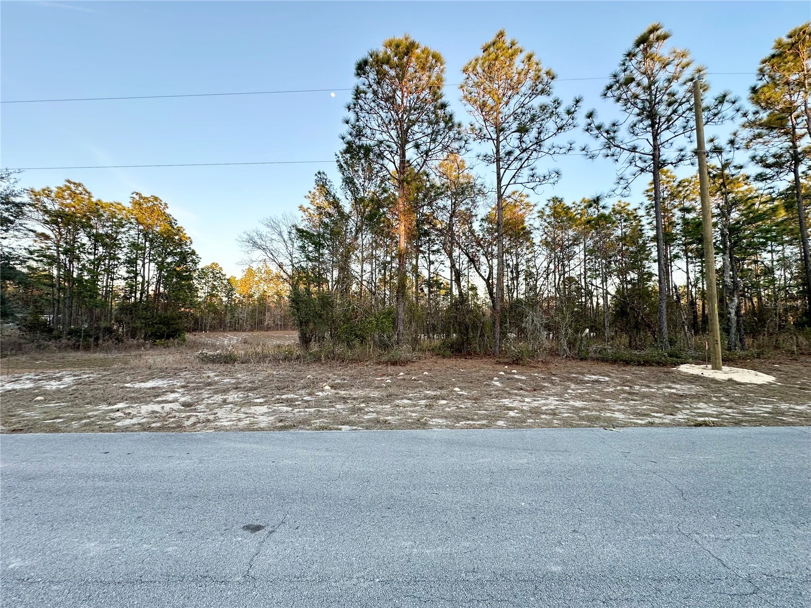 0 SW 88th Court Ocala FL 34473 OM716801 image1