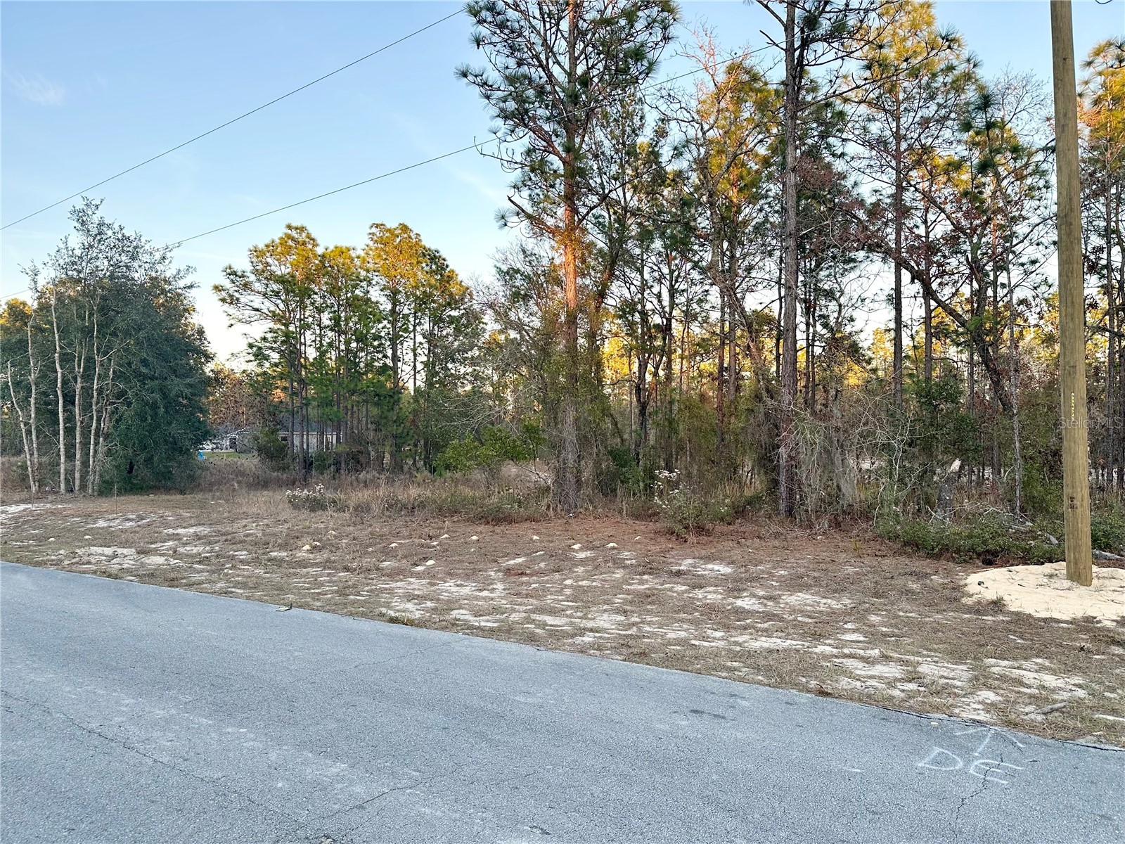 0 SW 88th Court Ocala FL 34473 OM716801 image3