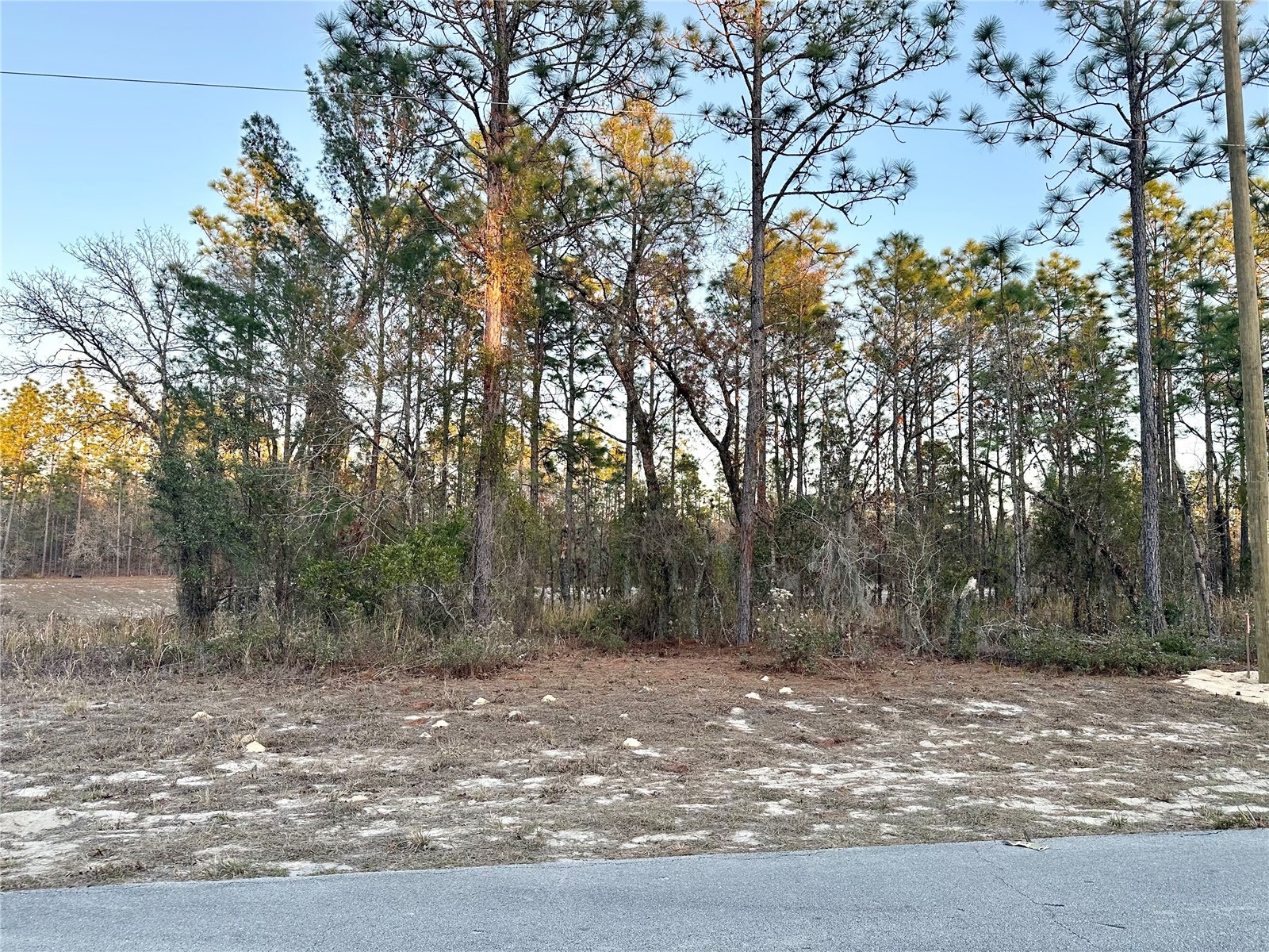 0 SW 88th Court Ocala FL 34473 OM716801 image4
