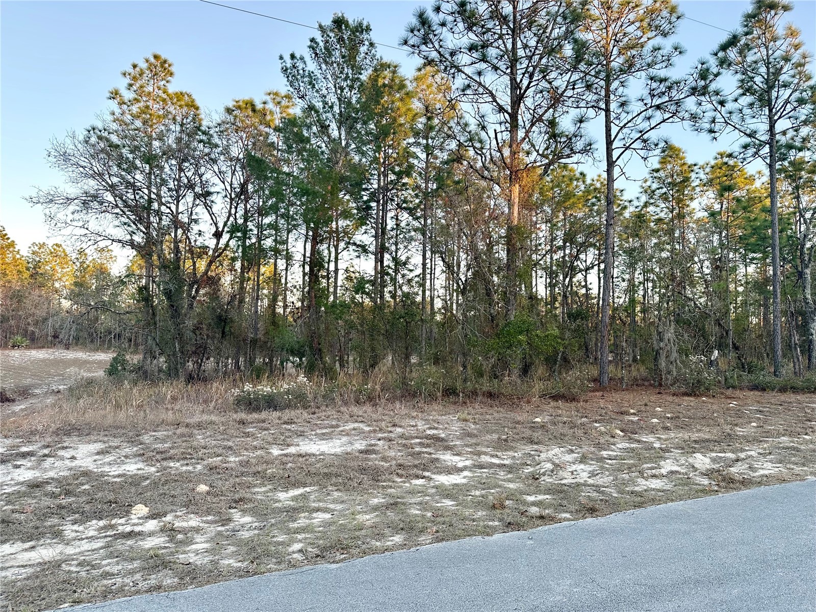 0 SW 88th Court Ocala FL 34473 OM716801 image5
