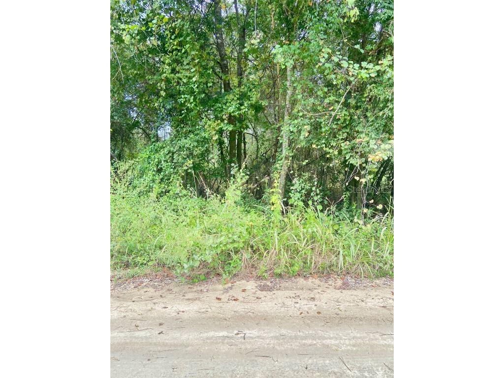 0 SW 8th Place SW #0 Ocala FL 34481 TB8435254 image1