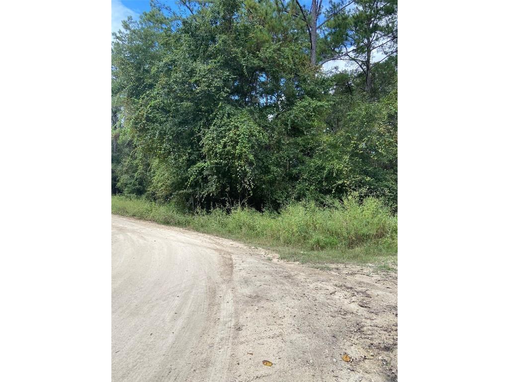 0 SW 8th Place SW #0 Ocala FL 34481 TB8435254 image2