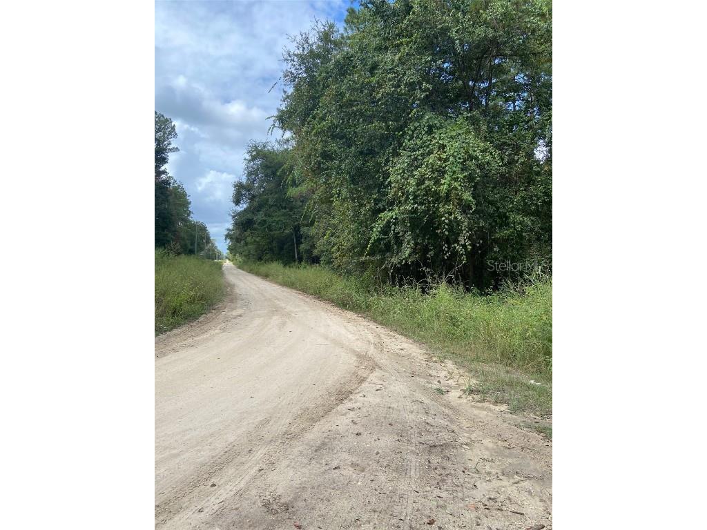 0 SW 8th Place SW #0 Ocala FL 34481 TB8435254 image3
