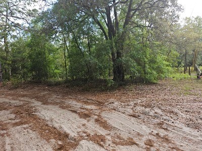 0 SW 90 Dunnellon FL 34432 OM723646 image1
