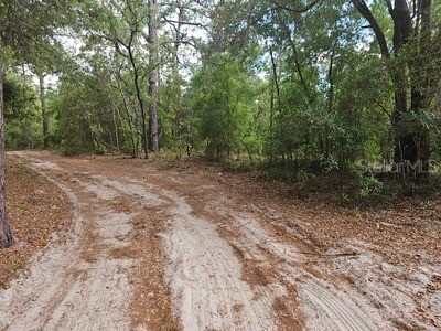 0 SW 90 Dunnellon FL 34432 OM723646 image2