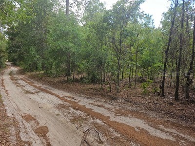 0 SW 90 Dunnellon FL 34432 OM723646 image3
